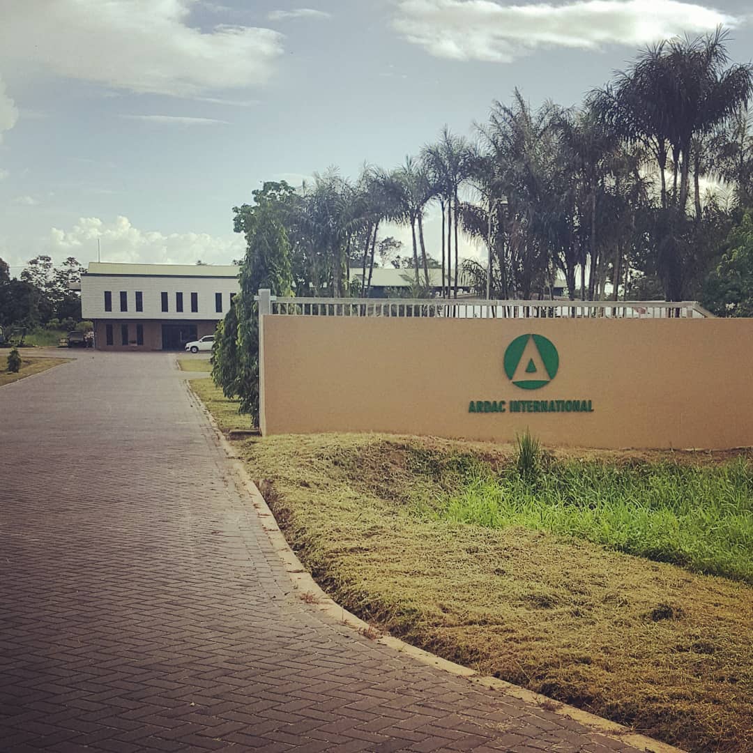 35741058 1928632807200016 565724545244200960 o